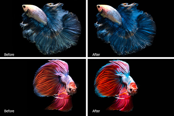 Betta Fish Lr Presets in Photoshop Actions - product preview 2
