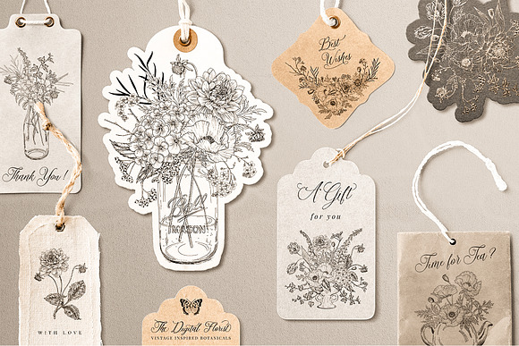 Vintage Botanical Illustrations in Illustrations - product preview 1