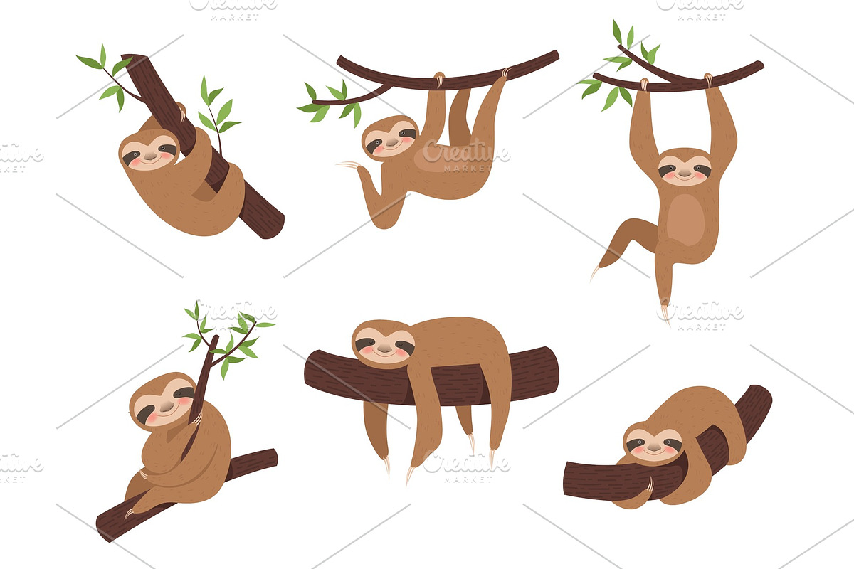Sloth characters. Cute sleepy animal in Graphics - product preview 8