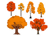 Yellow, orange and red forest trees