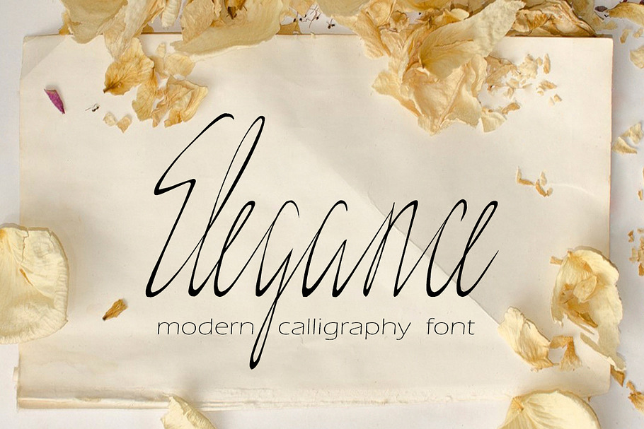 Elegance Script (otf, ttf) in Elegant Fonts - product preview 8