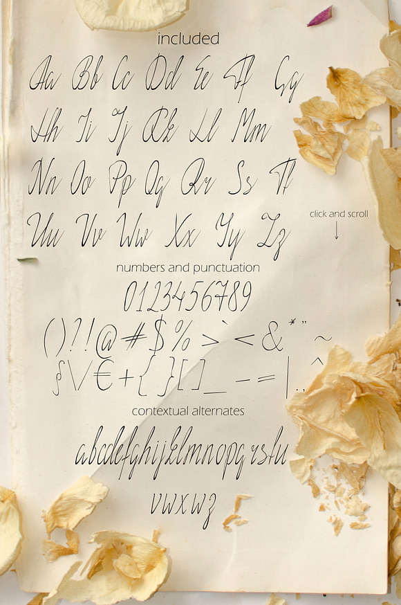 Elegance Script (otf, ttf) in Elegant Fonts - product preview 5