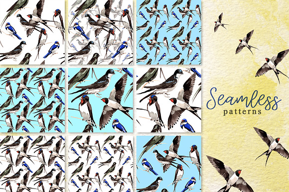 Swallows Watercolor png in Illustrations - product preview 1