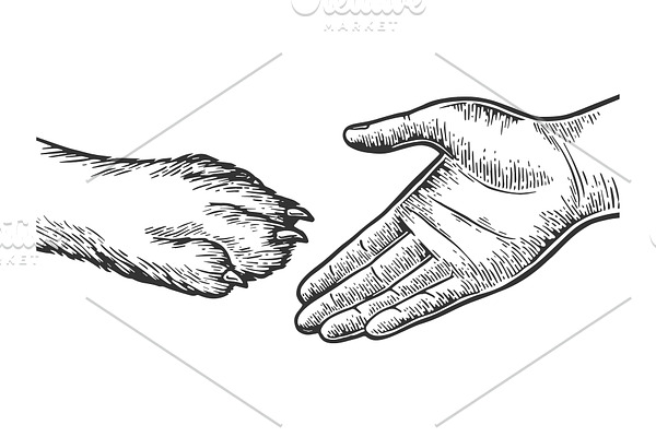 Dog paw handshake engraving vector
