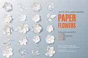 Paper Flowers Set