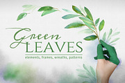 Green leaves. Graphic Set.