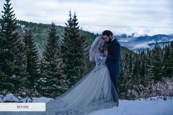 Let it Snow Lightroom Presets in Photoshop Plugins - product preview 25