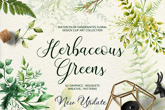 Herbaceous Greens-watercolor set in Illustrations - product preview 11