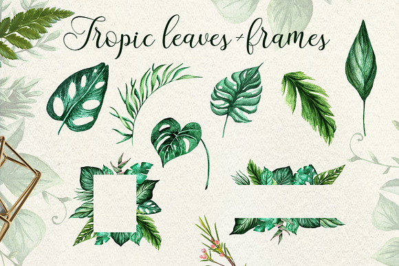 Herbaceous Greens-watercolor set in Illustrations - product preview 12