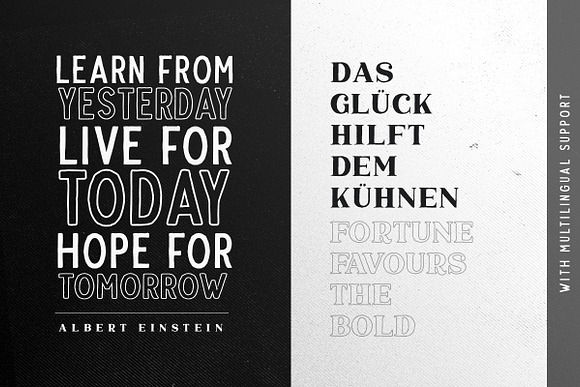 Marquis - Organic Font Duo (+EXTRAS) in Serif Fonts - product preview 5