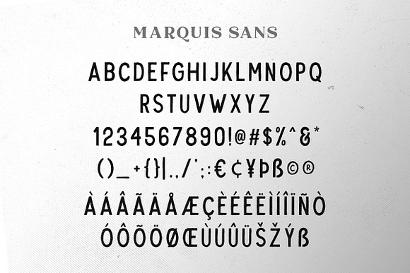 Marquis - Organic Font Duo (+EXTRAS) in Serif Fonts - product preview 7