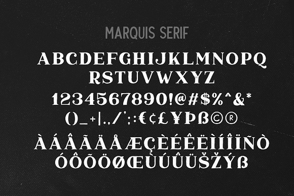 Marquis - Organic Font Duo (+EXTRAS) in Serif Fonts - product preview 8