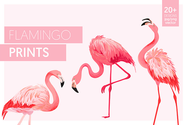 Flamingo and Flowers Design Kit