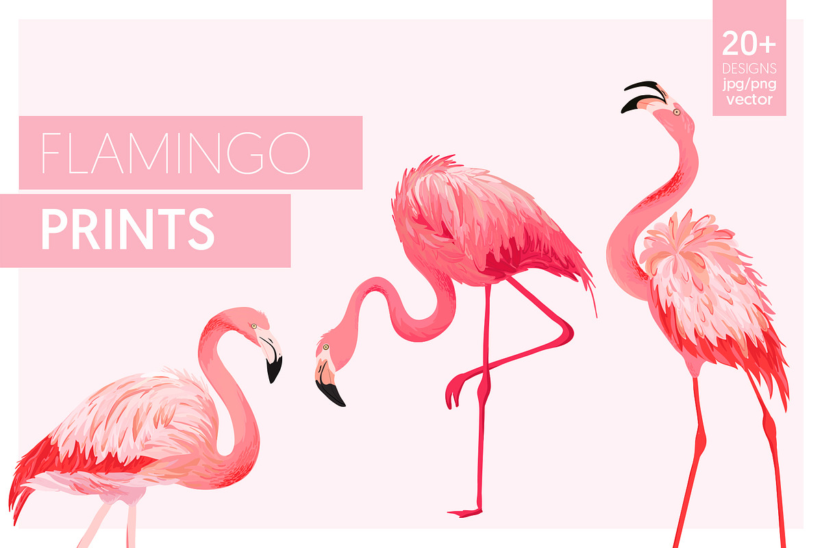 Flamingo and Flowers Design Kit in Illustrations - product preview 8