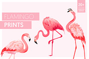 Flamingo and Flowers Design Kit