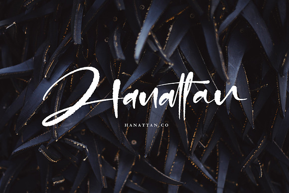 Dontha Tethaki in Script Fonts - product preview 6