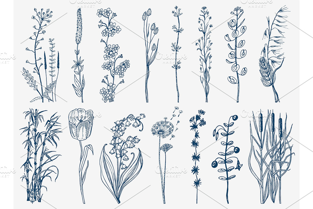 Wild Flowers with leaves. Set in Illustrations - product preview 8