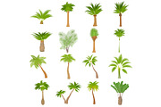 Different palm trees icons set