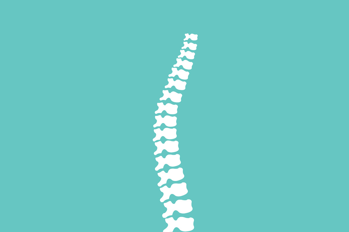 Vector human spine icon  in Illustrations - product preview 8