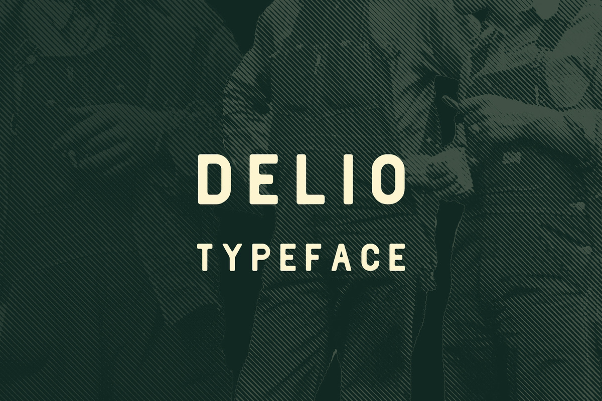 Delio Typeface in Sans-Serif Fonts - product preview 8