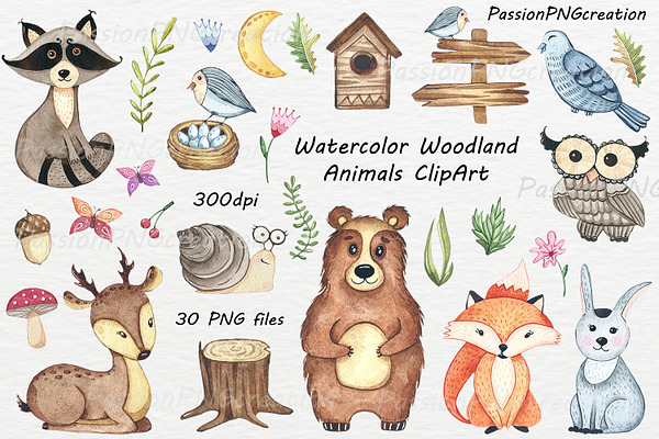 Watercolor woodland Animals ClipArt