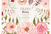 Floral Elements Watercolor Clipart