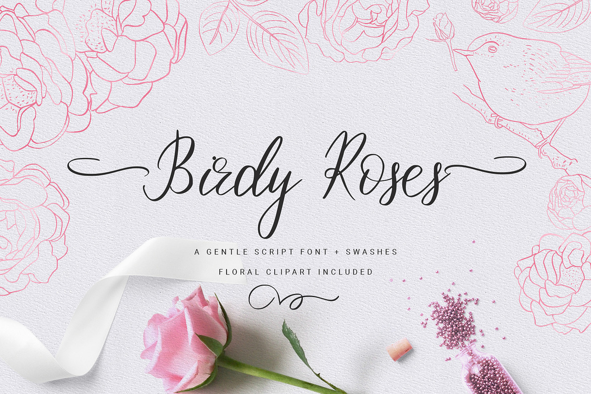 Birdy Roses | Script font + Swashes in Script Fonts - product preview 8