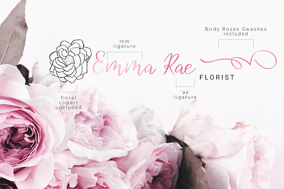 Birdy Roses | Script font + Swashes in Script Fonts - product preview 3