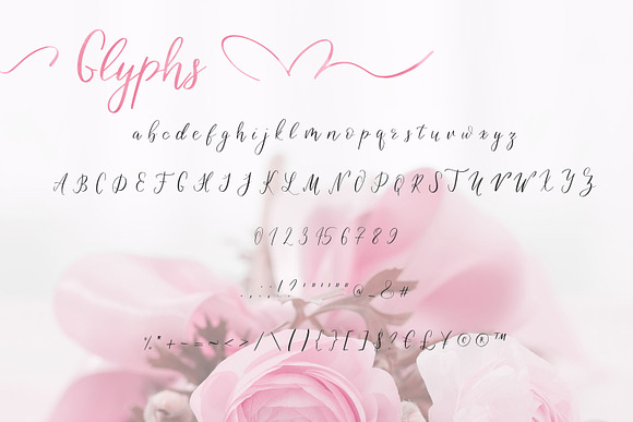 Birdy Roses | Script font + Swashes in Script Fonts - product preview 5