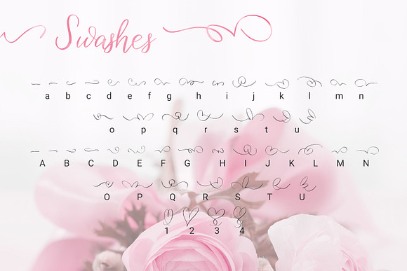 Birdy Roses | Script font + Swashes in Script Fonts - product preview 7