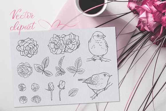 Birdy Roses | Script font + Swashes in Script Fonts - product preview 12