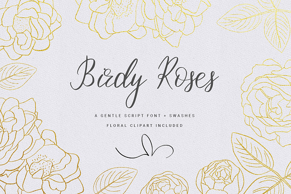 Birdy Roses | Script font + Swashes in Script Fonts - product preview 14