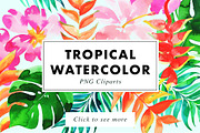 22 Tropical Watercolor Illustrations