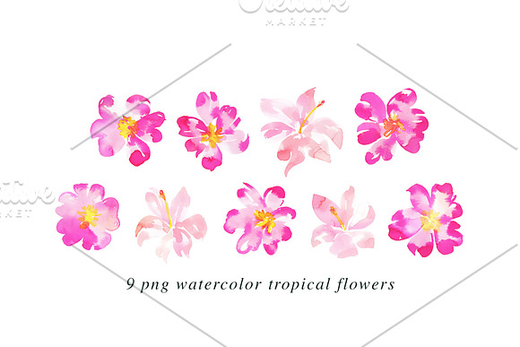 22 Tropical Watercolor Illustrations in Illustrations - product preview 2