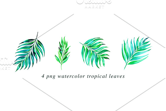 22 Tropical Watercolor Illustrations in Illustrations - product preview 3