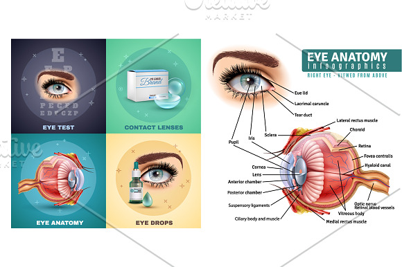 Ophthalmology Realistic Set in Illustrations - product preview 4