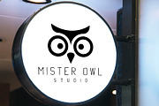 Mister Owl Logo Design