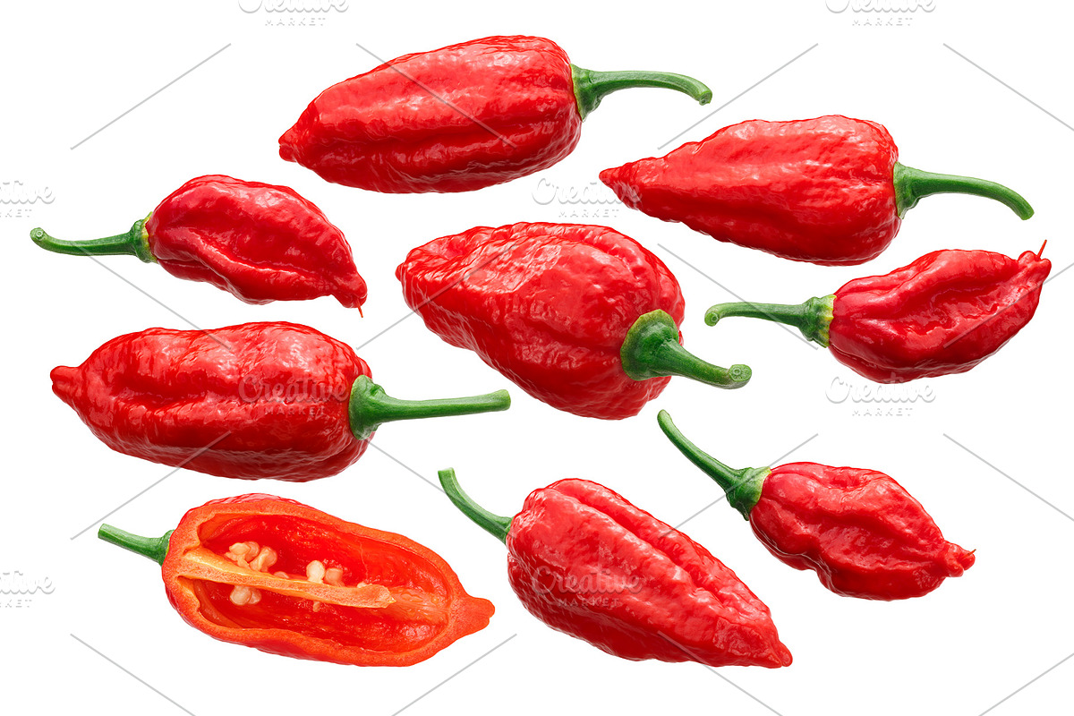 Dorset Naga Pepper in Objects - product preview 8