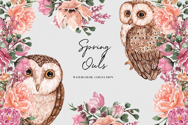 Spring Owls Watercolor Collection