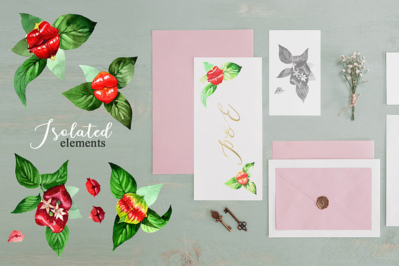  Psychotria elata Watercolor png in Illustrations - product preview 5