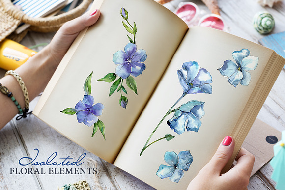 Flax Blue Watercolor png  in Illustrations - product preview 3