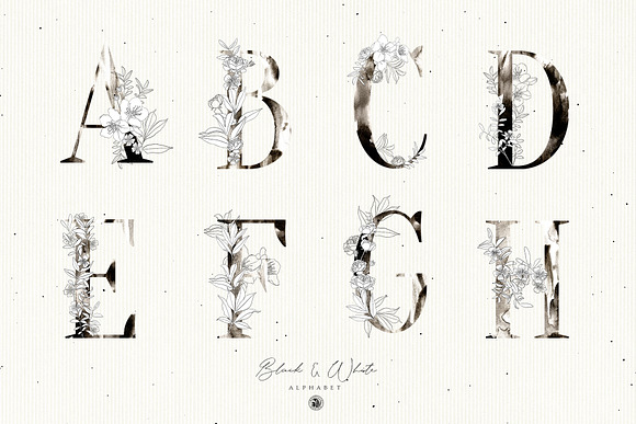 Black & White Floral Alphabet in Illustrations - product preview 5