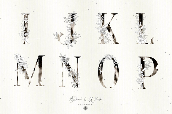 Black & White Floral Alphabet in Illustrations - product preview 6