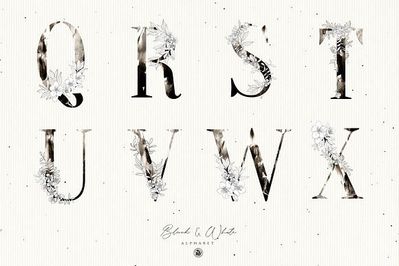 Black & White Floral Alphabet in Illustrations - product preview 7