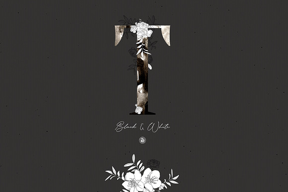 Black & White Floral Alphabet in Illustrations - product preview 10