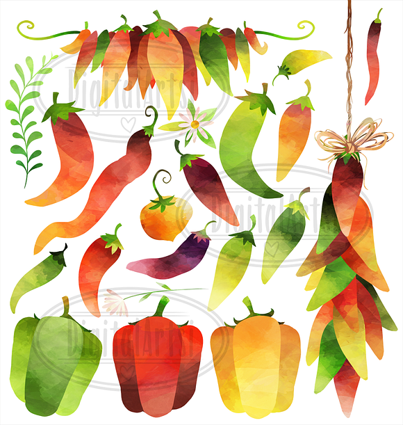 Watercolor Peppers Clipart in Illustrations - product preview 1