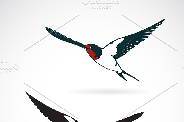 Vector of bird swallows design. 