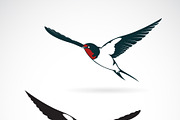 Vector of bird swallows design. 