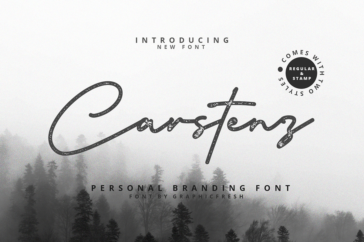 Carstenz Vintage Type in Script Fonts - product preview 8