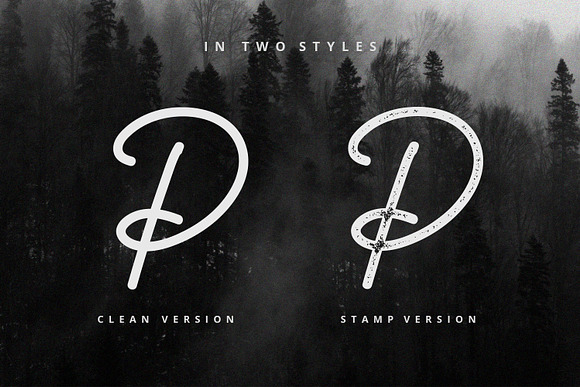 Carstenz Vintage Type in Script Fonts - product preview 2